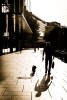 querformat-fotografie - Achim Katzberg - Street - Silhouetten & Schatten - Summer in the city!