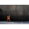 querformat-fotografie - Achim Katzberg - play the barrel organ