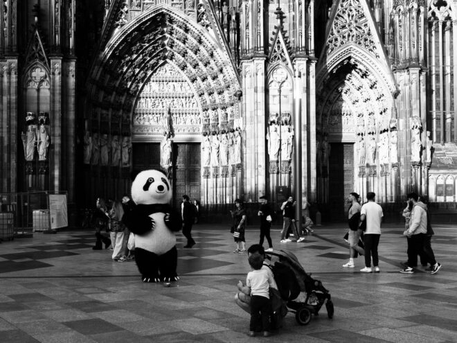 querformat-fotografie - Achim Katzberg - Domportal - Domplatte_sw