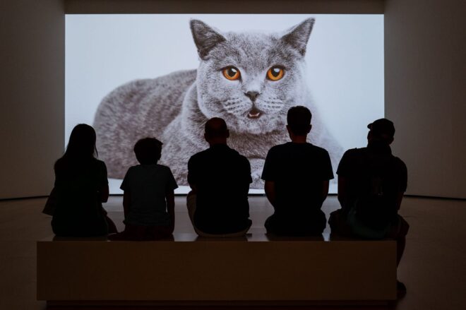 querformat-fotografie - Achim Katzberg - US Marine - Landausflug  - Barbara_the_cat_01